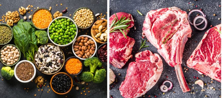 Plant protein Vs Animal protein – which one is good for Kidney disease