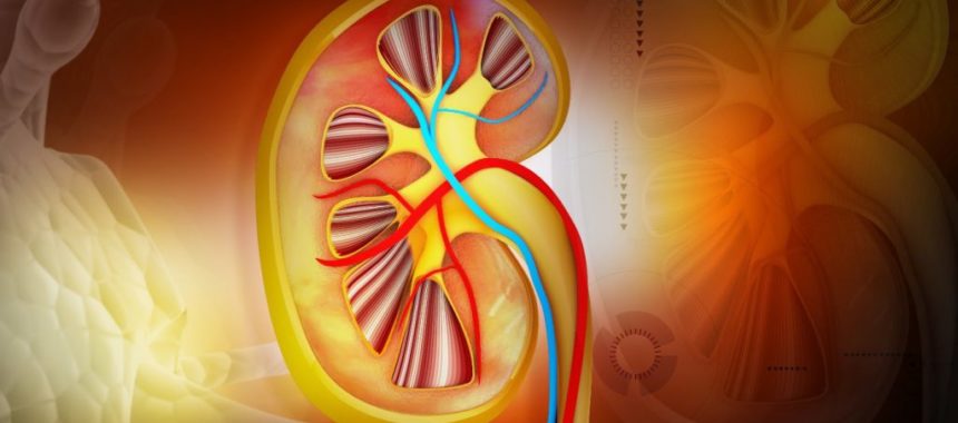 Diet for Diabetic with Kidney failure