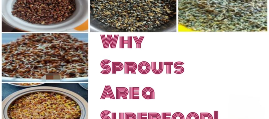 Why sprouts are Super Food!